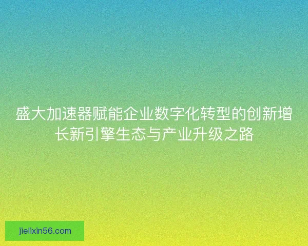 盛大加速器赋能企业数字化转型的创新增长新引擎生态与产业升级之路